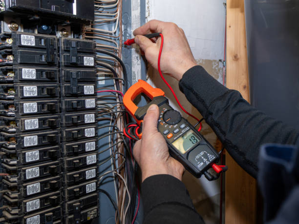 Best Electrical System Inspection  in Fort Deposit, AL